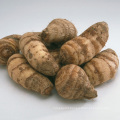 Good quality taro exporter